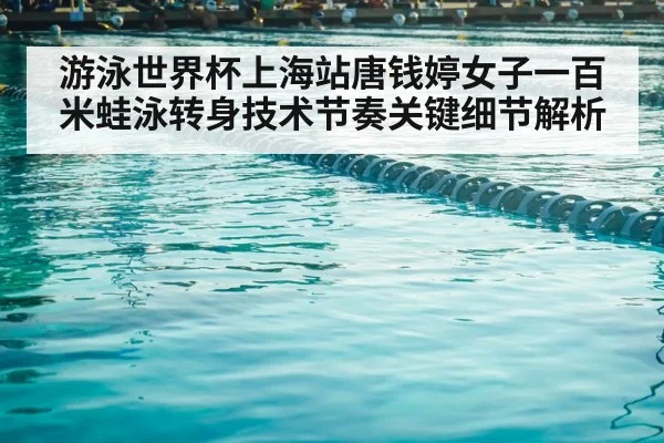 游泳世界杯上海站唐钱婷女子一百米蛙泳转身技术节奏关键细节解析